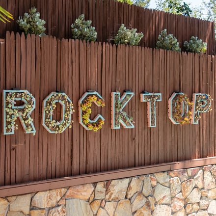 Rocktop sign with succulents on a cedar fence